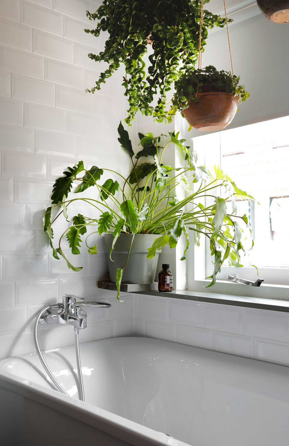 12-badkamer-planten